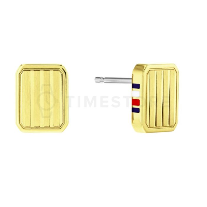 Дамски обеци Tommy Hilfiger 2780694