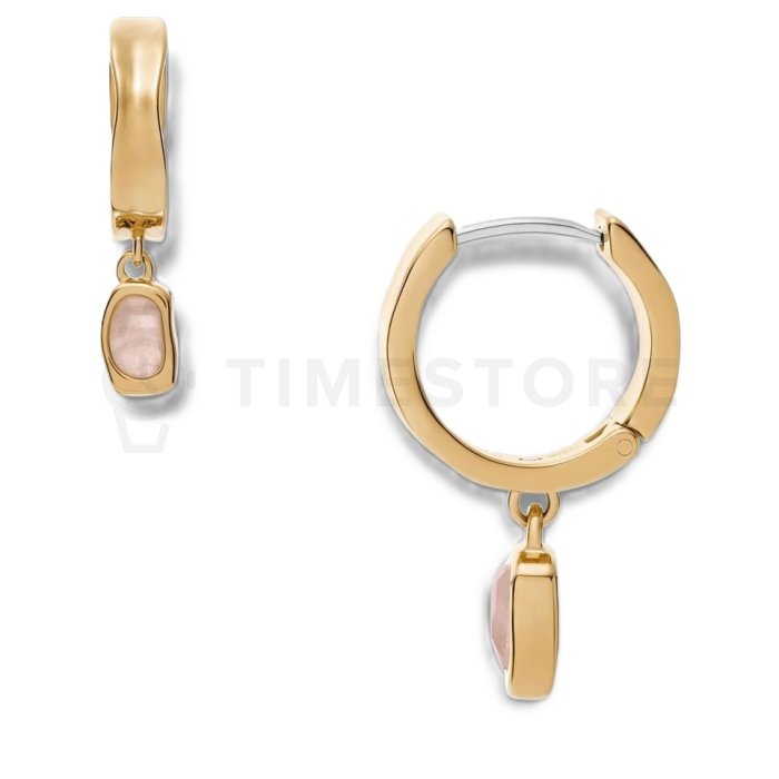 Дамски обеци Skagen SKJ1864710